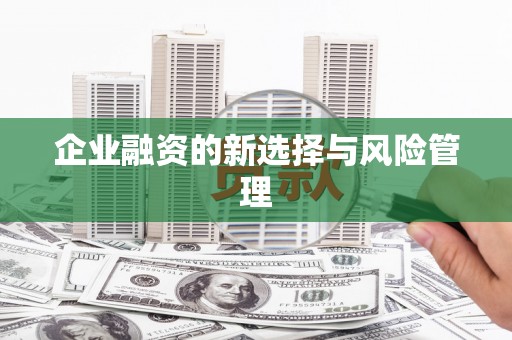 兰屿企业融资的新选择与风险管理