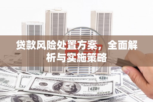 兰屿贷款风险处置方案，全面解析与实施策略