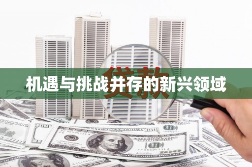 兰屿机遇与挑战并存的新兴领域