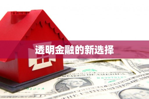 兰屿透明金融的新选择