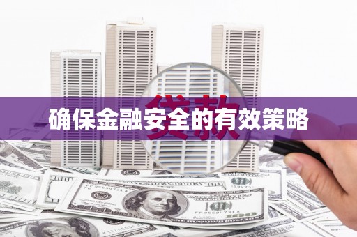 兰屿确保金融安全的有效策略