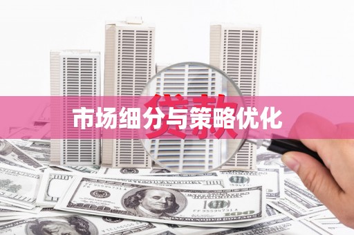 兰屿市场细分与策略优化
