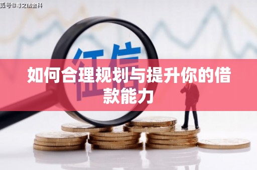 兰屿如何合理规划与提升你的借款能力