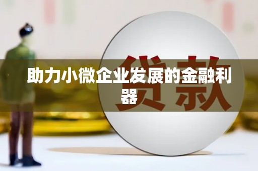 兰屿助力小微企业发展的金融利器