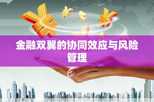 兰屿金融双翼的协同效应与风险管理