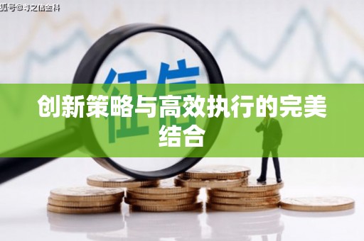 兰屿创新策略与高效执行的完美结合