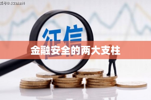 兰屿金融安全的两大支柱