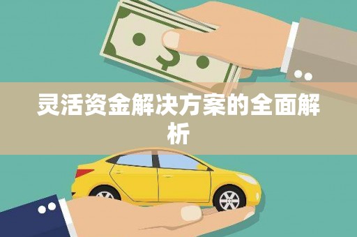 兰屿灵活资金解决方案的全面解析