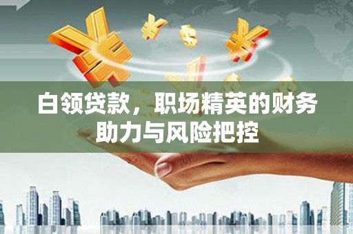 兰屿白领贷款，职场精英的财务助力与风险把控